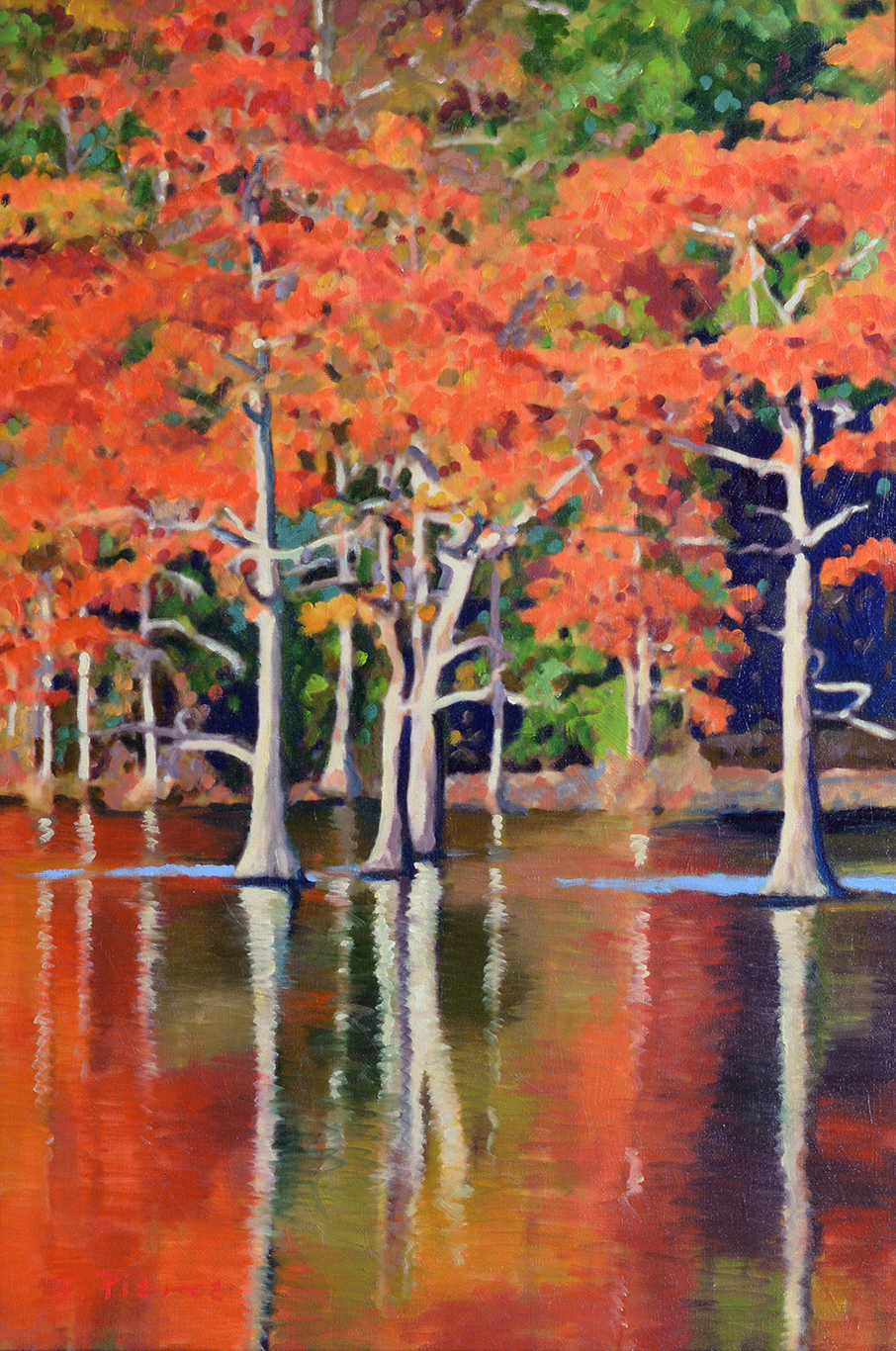 Autumn Cypress by Frank Pierce