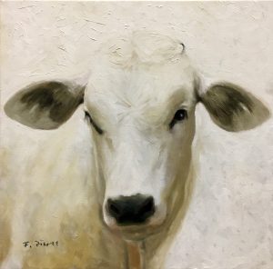 Frank D. Pierce - "Chianina Calf"