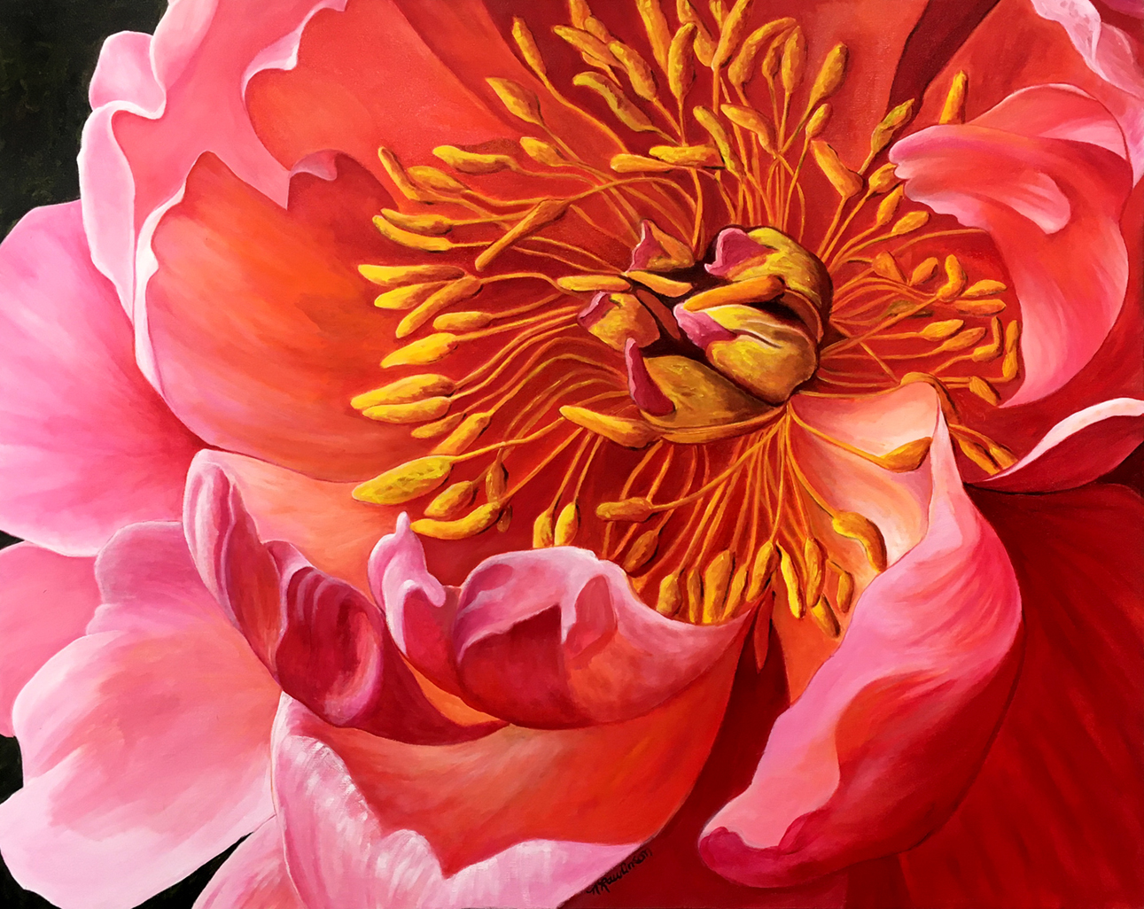 Late Blooming Peony by Nancy Rawlinson