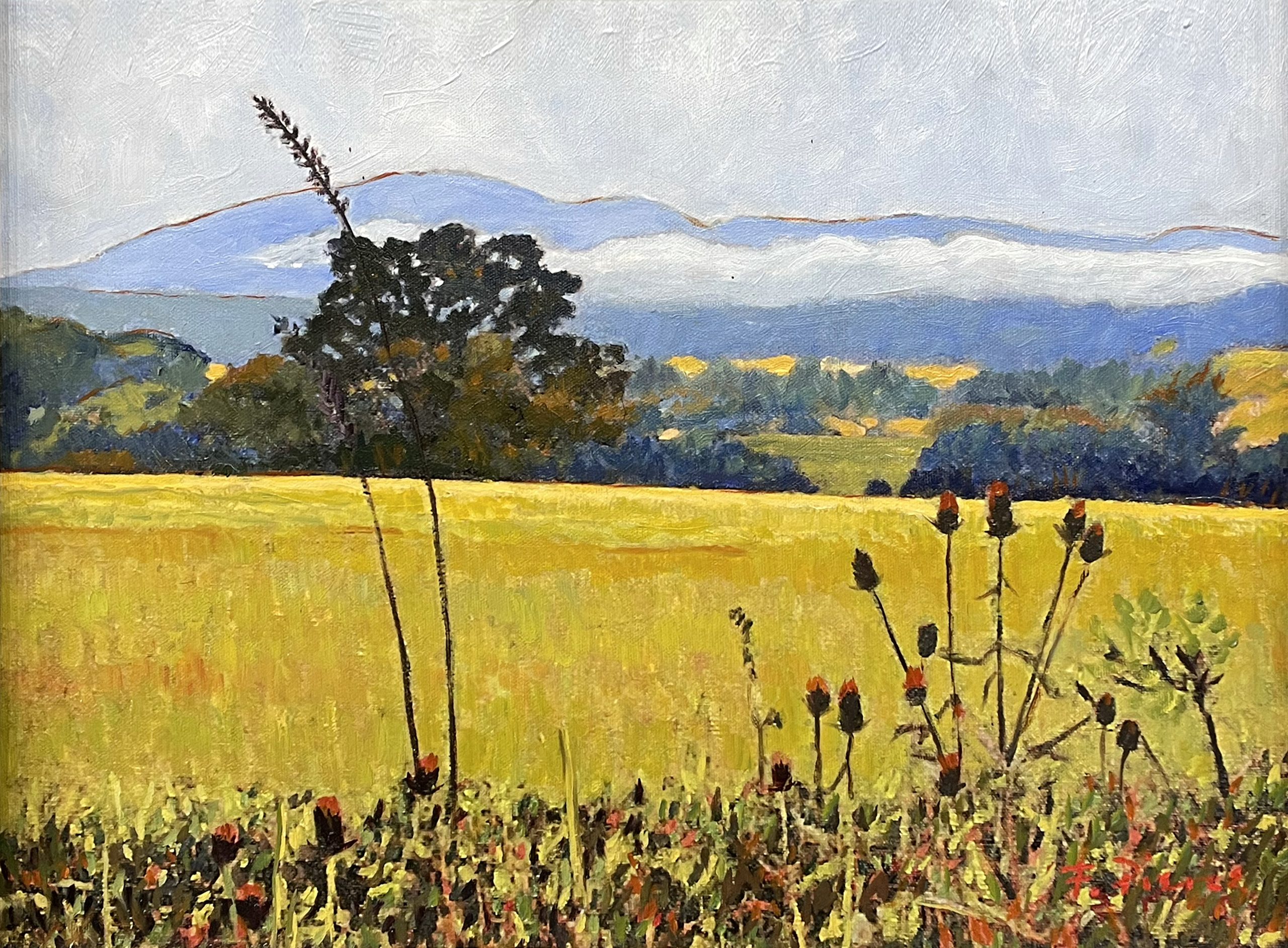 Shenandoah by Frank Pierce